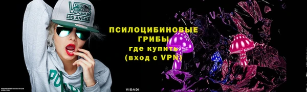 МДПВ Бугульма